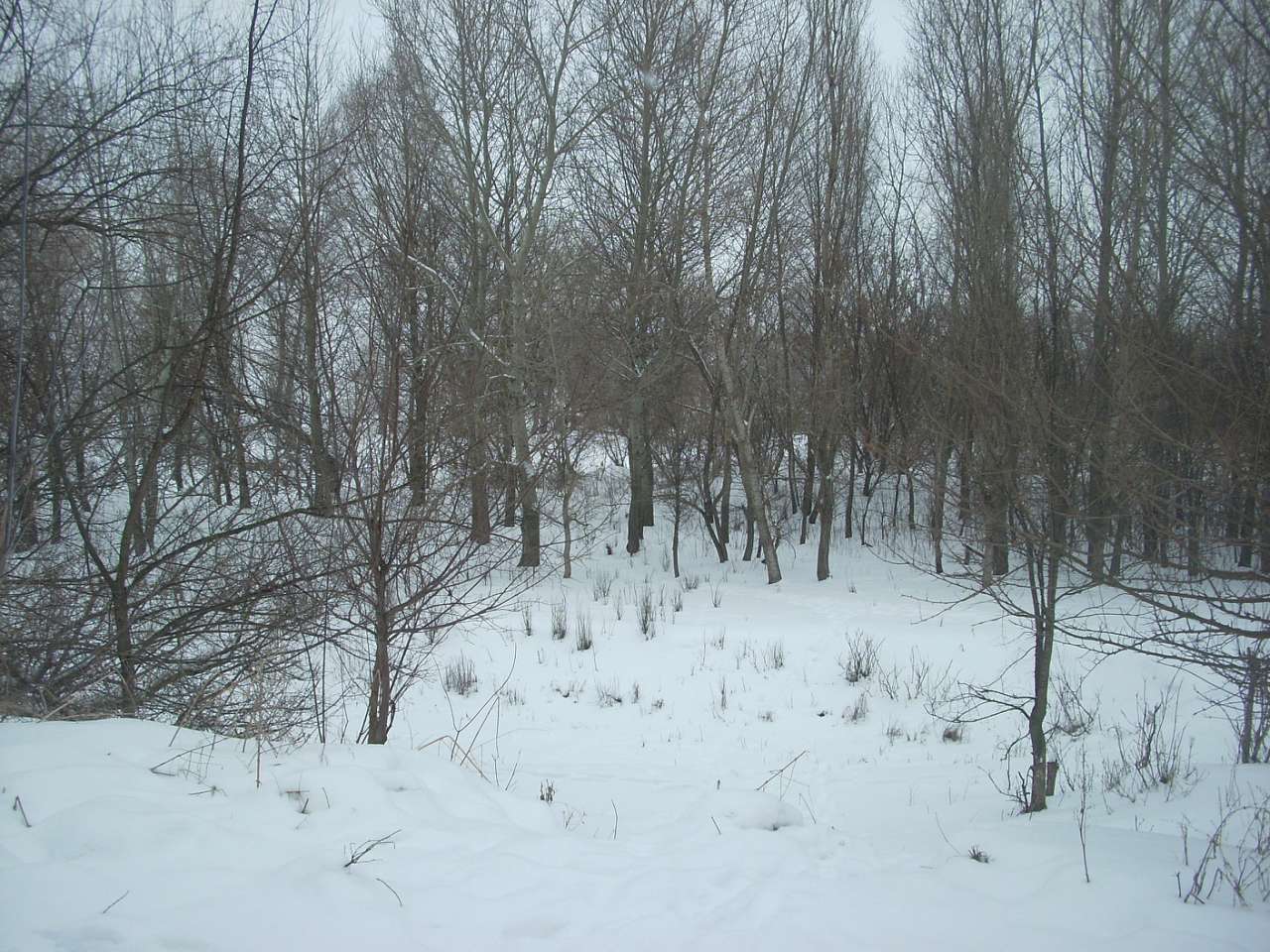 Вороб’ївка - Безбородьки