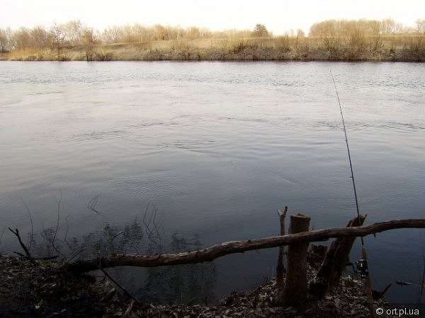 Рідний край - Дзюбівщина