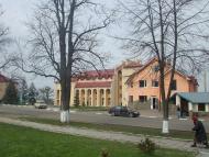 Народний дім. Селищна рада