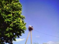 Завітайте до нас...