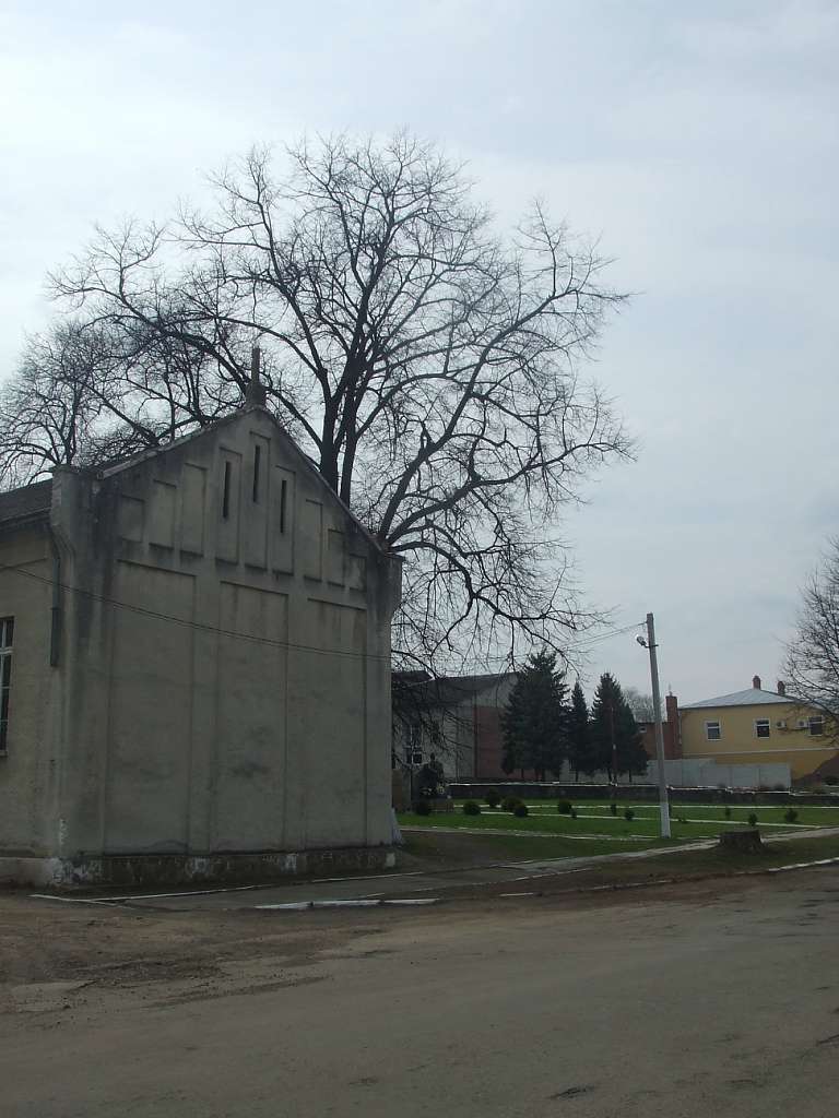 Школа - Dashava