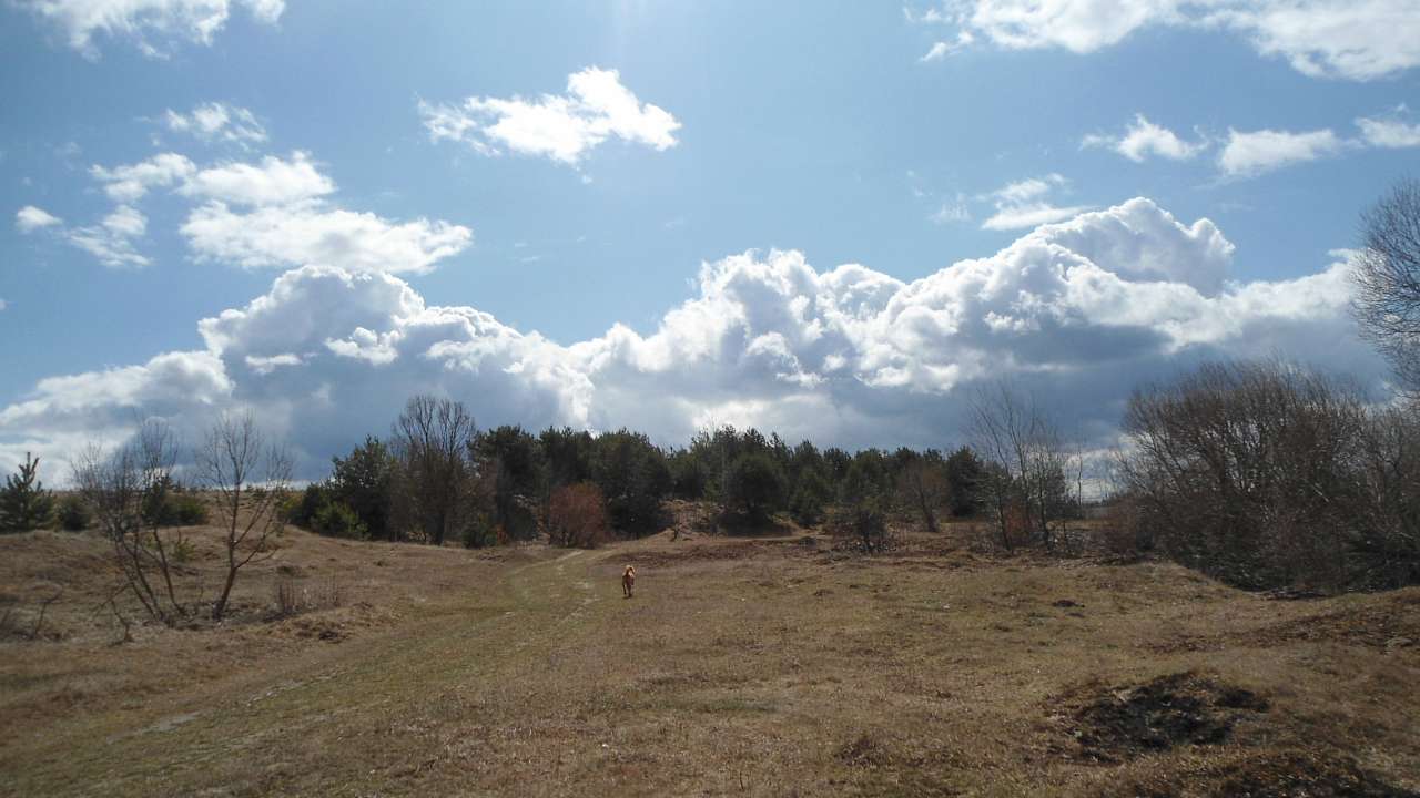 Райгородок - Raygorodok
