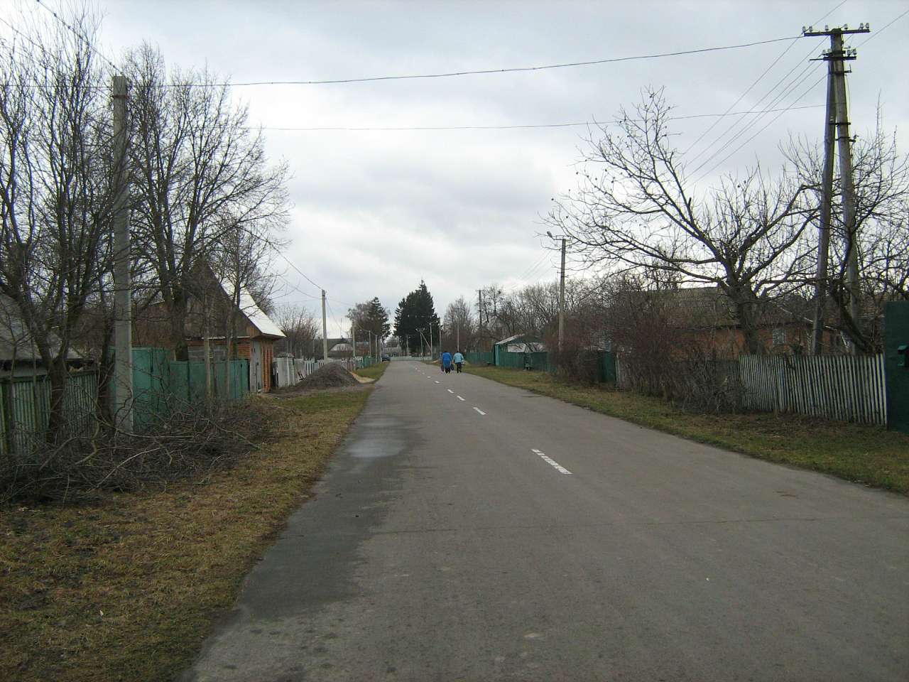 с.Велика чернявка. - Великая Чернявка