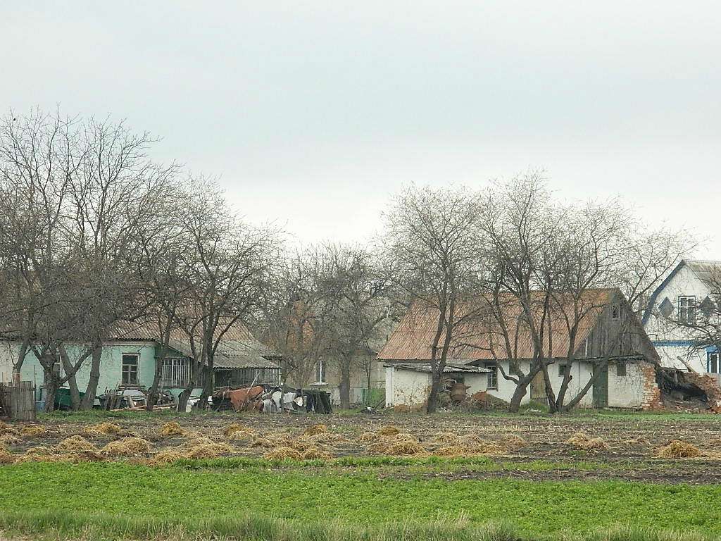 Парипси - Парипси