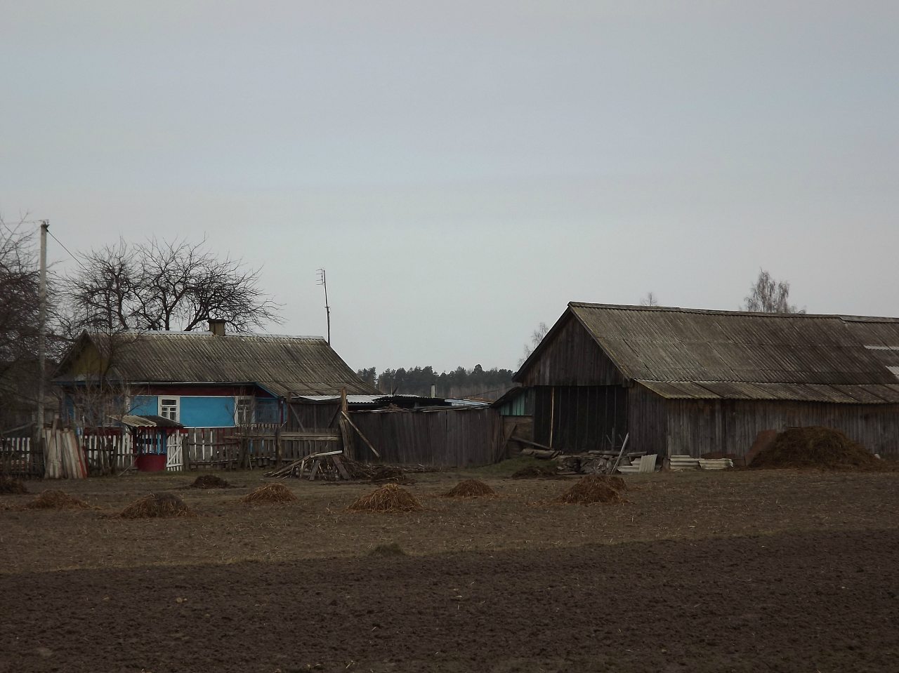 2 квітня 2012 - Велика Клецька