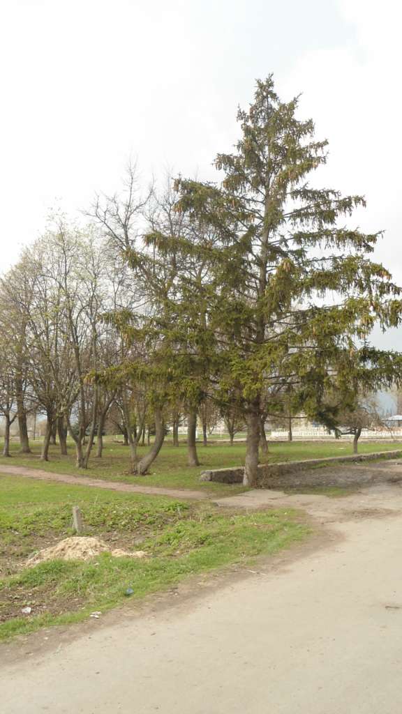 Райгородок - Райгородок