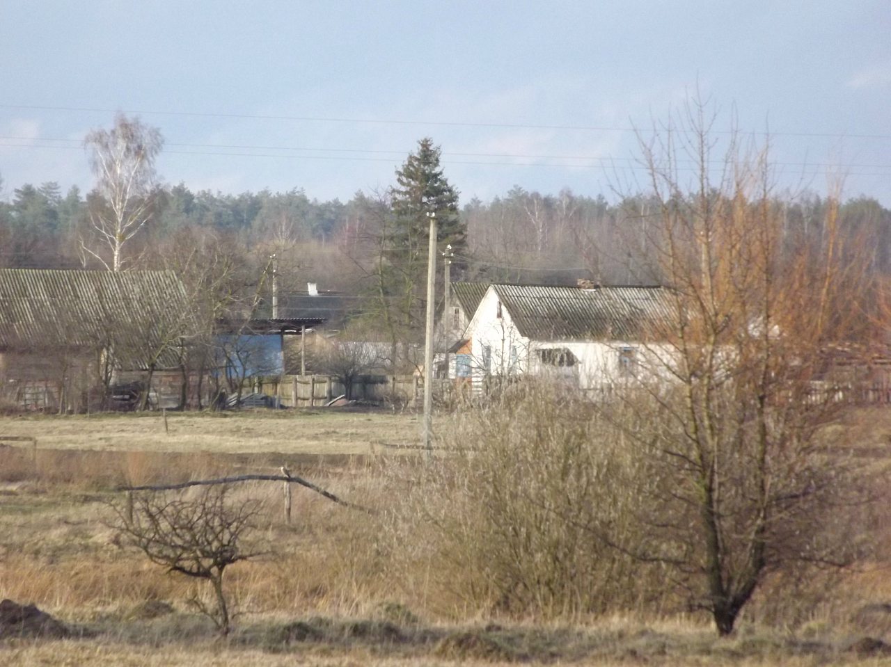 2 квітня 2012 - Великая Клецка