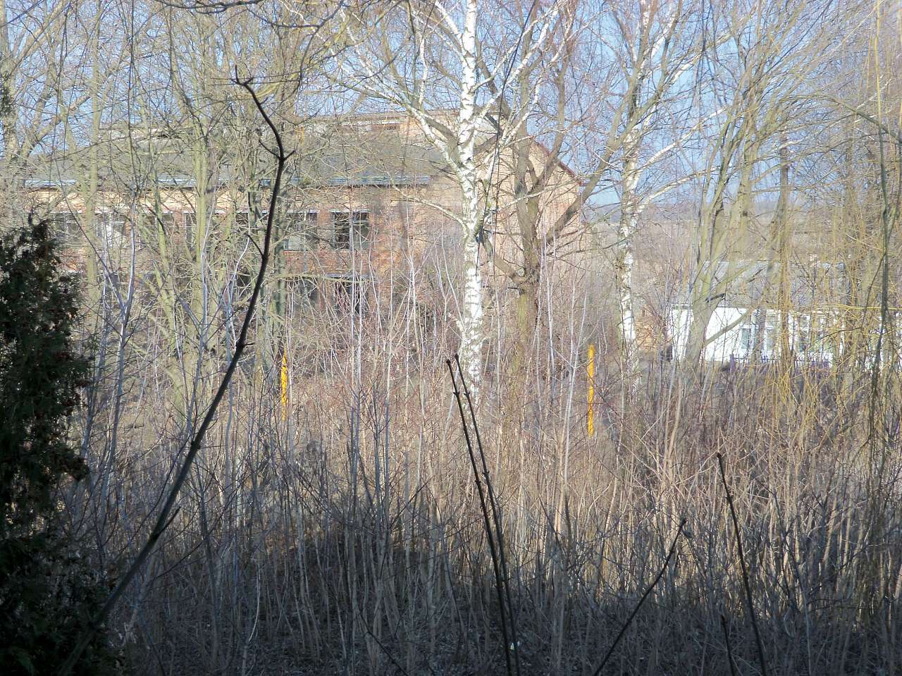 Лучиці - Лучиці