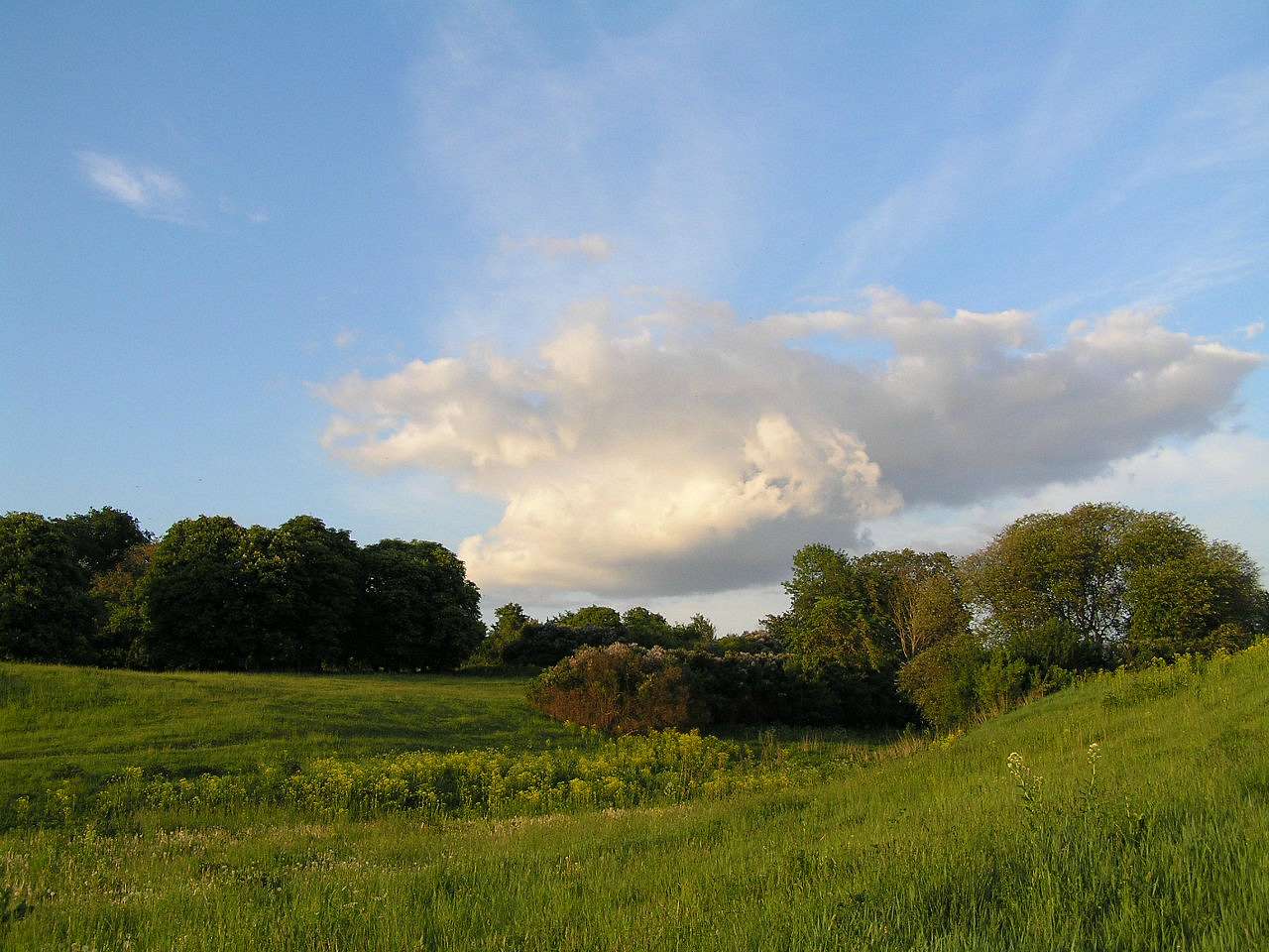 С. Лучин - Лучин