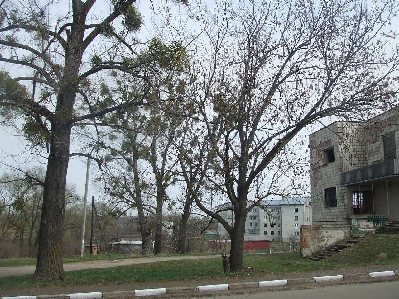 Краєвид - Дашава
