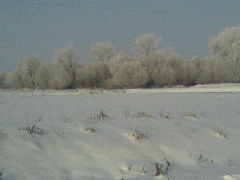 Природа - Райгородок