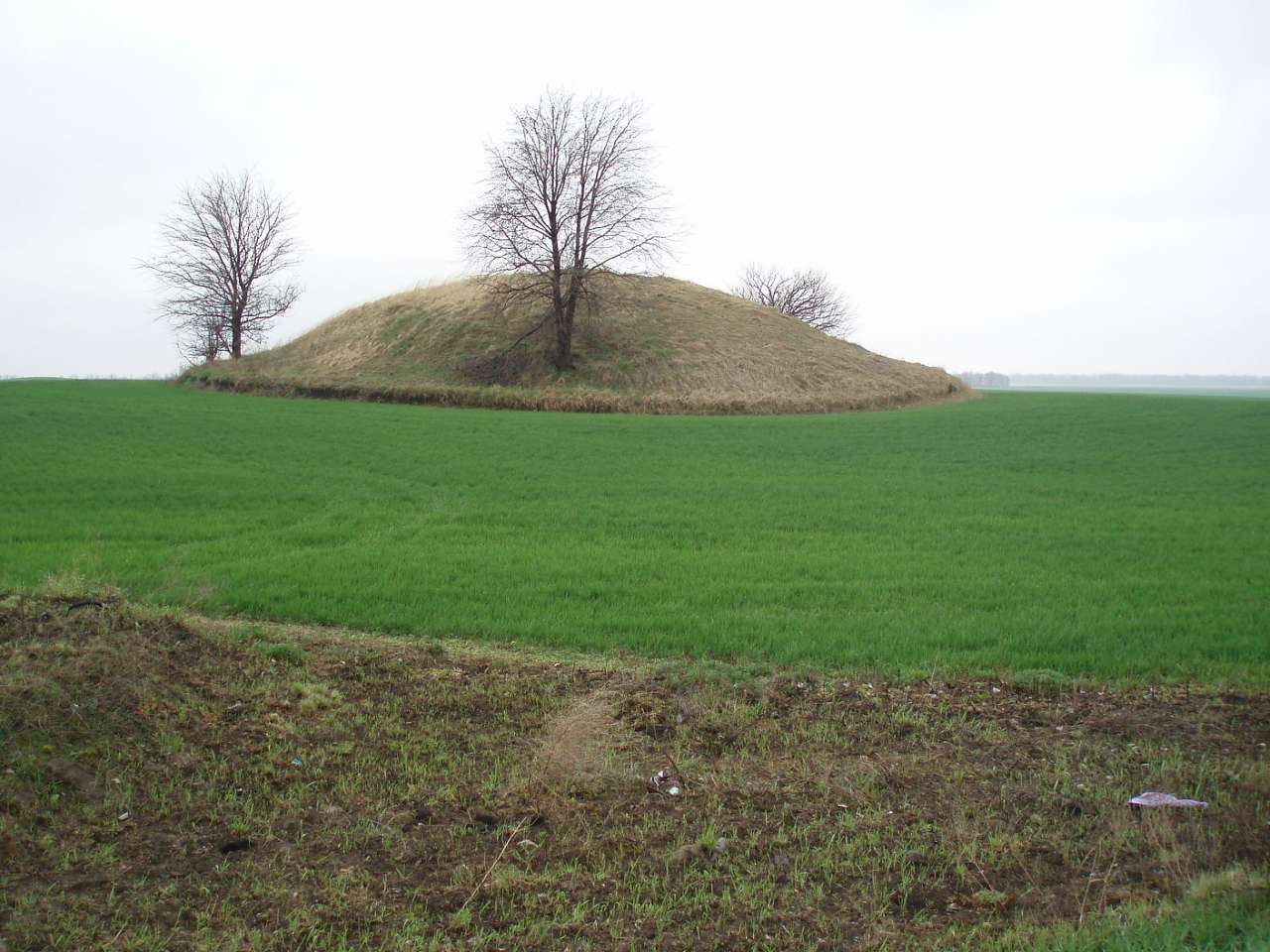 село - Мазинки