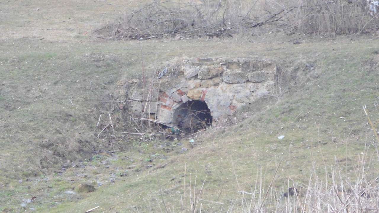 паркова алея поблизу маєтку - Raygorodok