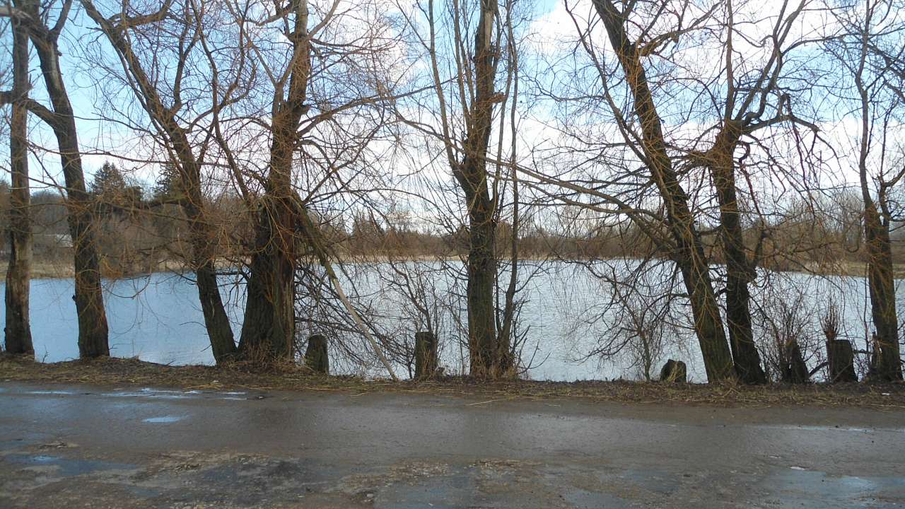 паркова алея поблизу маєтку - Raygorodok