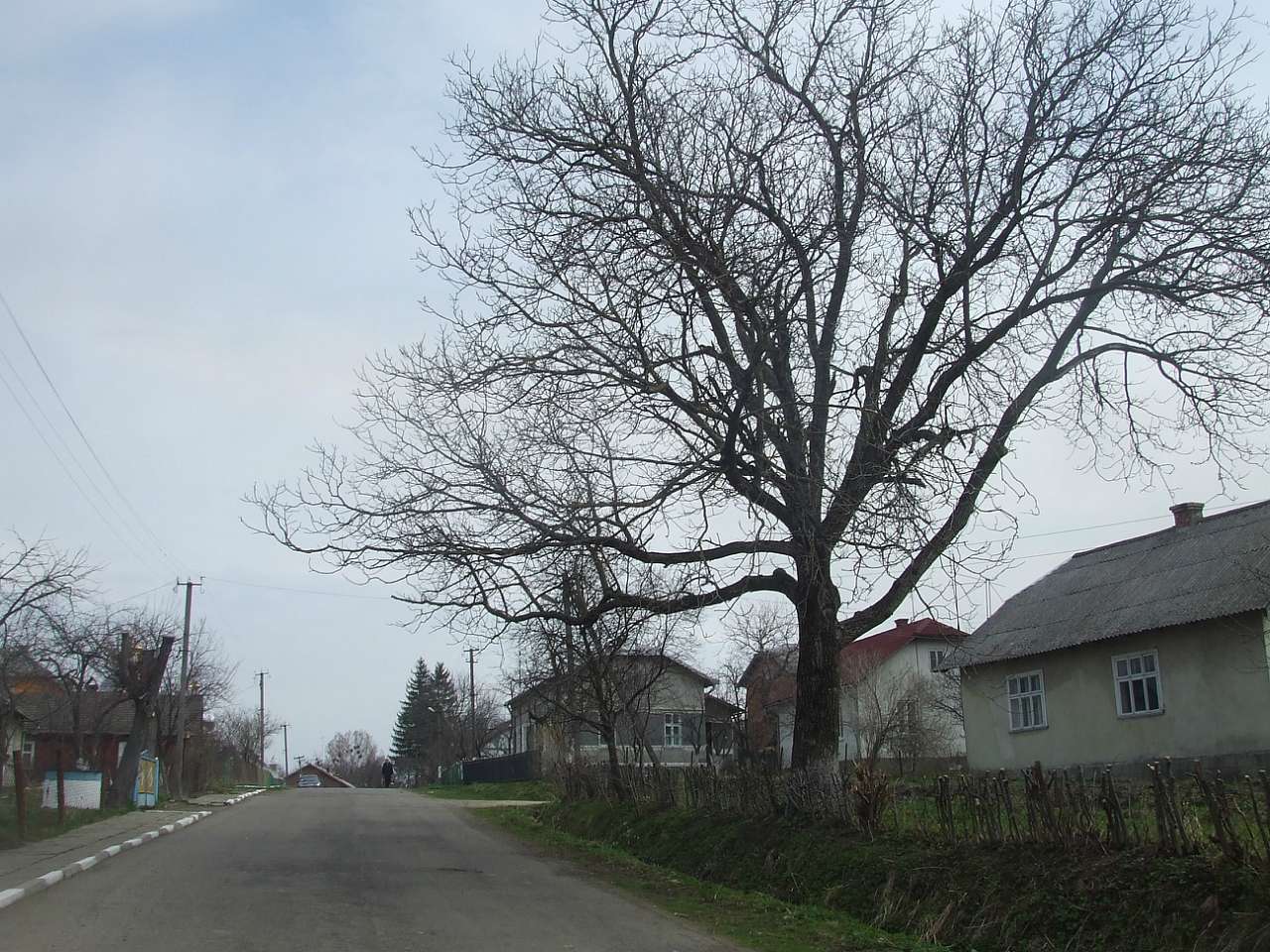 Краєвид - Дашава