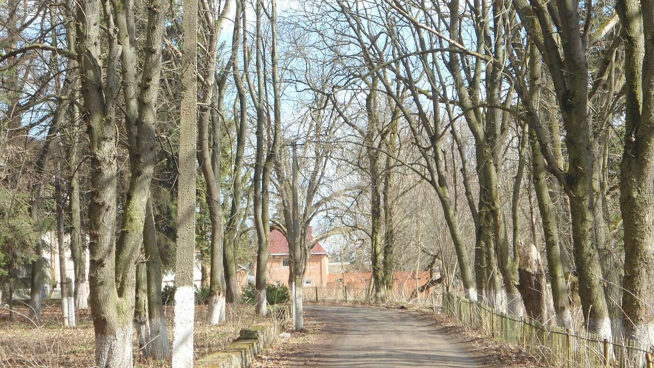 паркова алея поблизу маєтку - Raygorodok