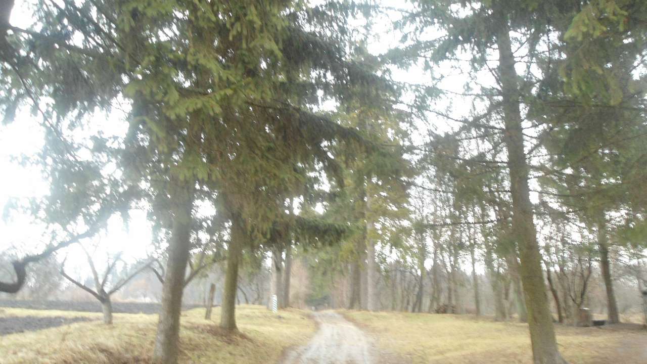 паркова алея поблизу маєтку - Raygorodok