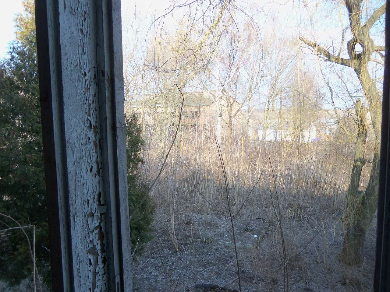 Лучиці - Лучиці