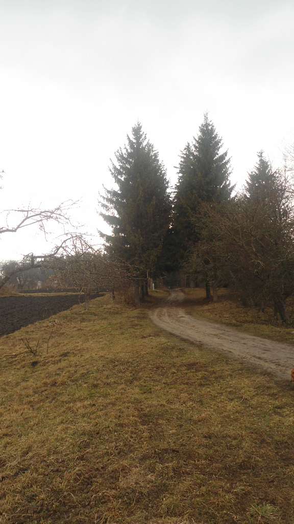 паркова алея поблизу маєтку - Raygorodok