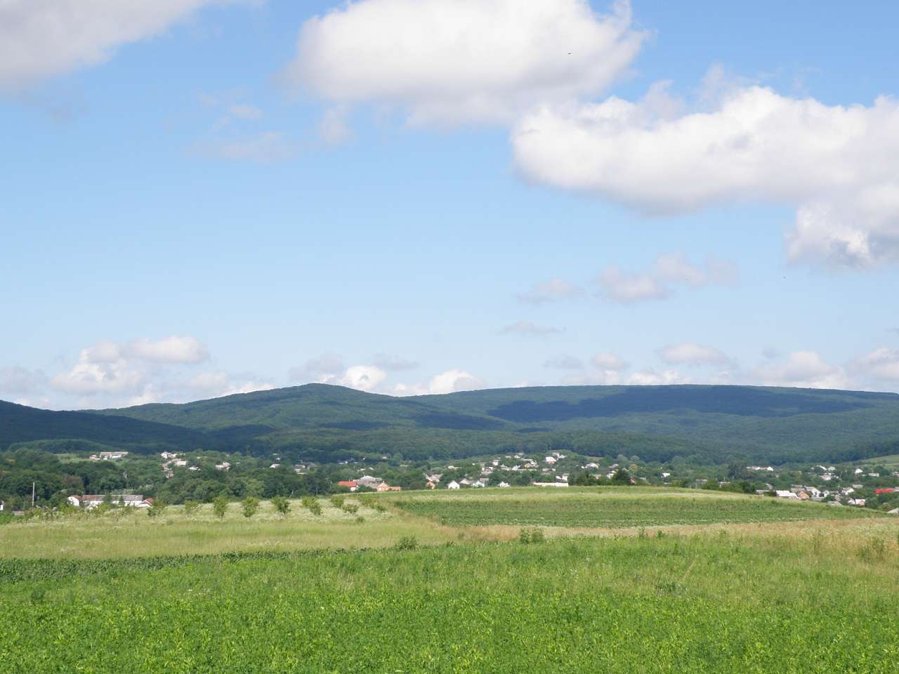 Фото - Chornivka