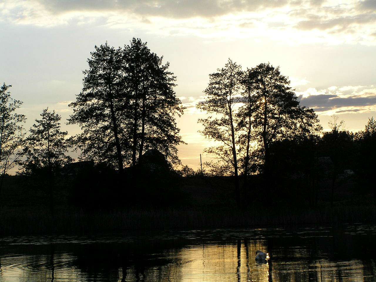 С. Лучин - Лучин