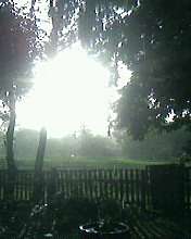 Природа - Райгородок