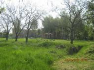 ПЕТРОПАВЛІВКА