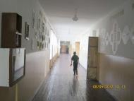 ПЕТРОПАВЛІВКА