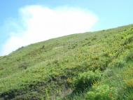 Виды на село