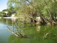 Рацеве,Кременчукське водосховище