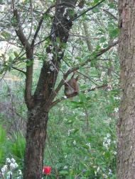 Забілоччя - Останні фото