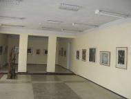 Кмитівський музей образотворчого мистецтва ім