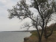 Рацеве,Кременчукське водосховище