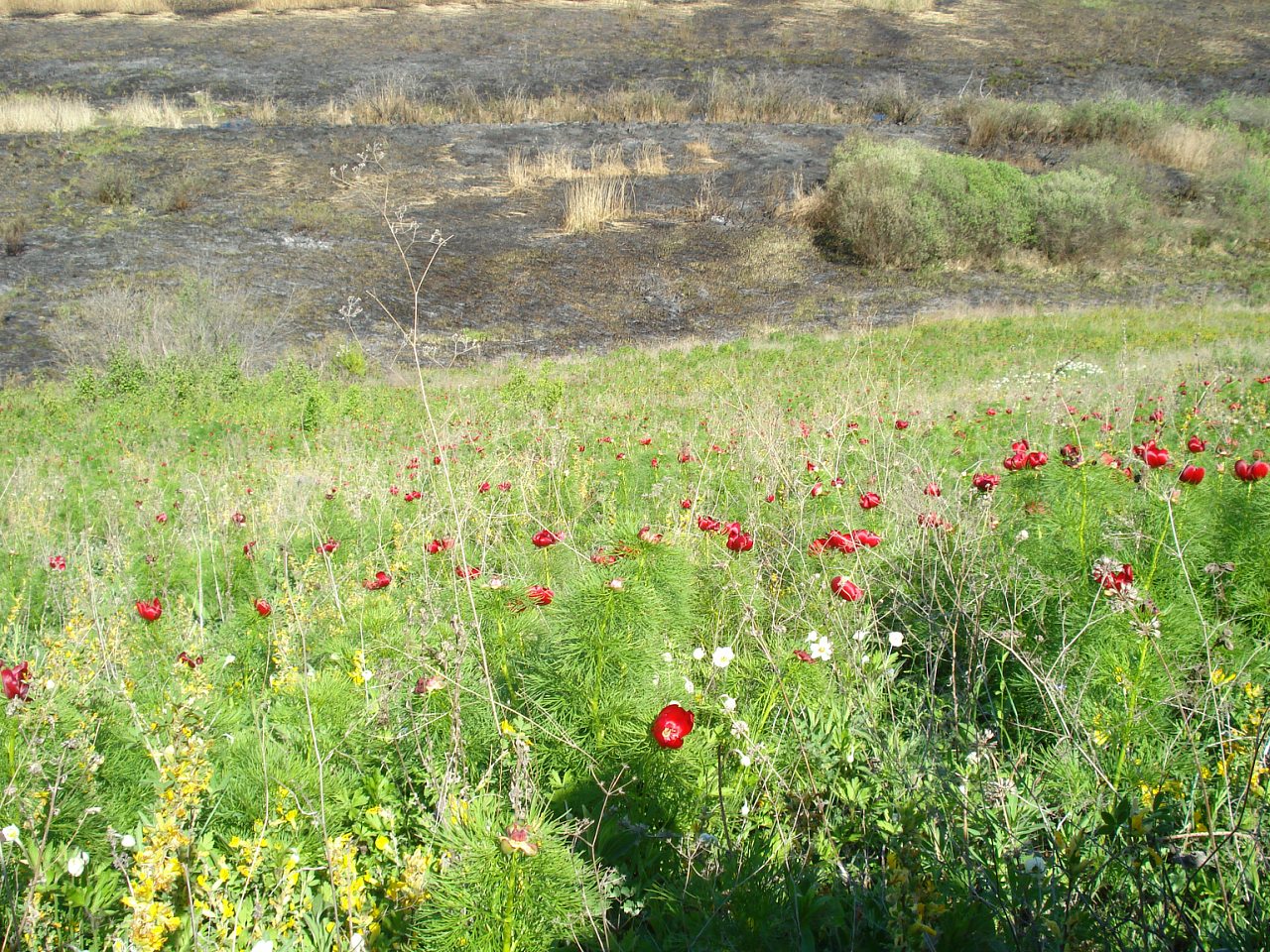 Виды на село - Верхня Дуванка