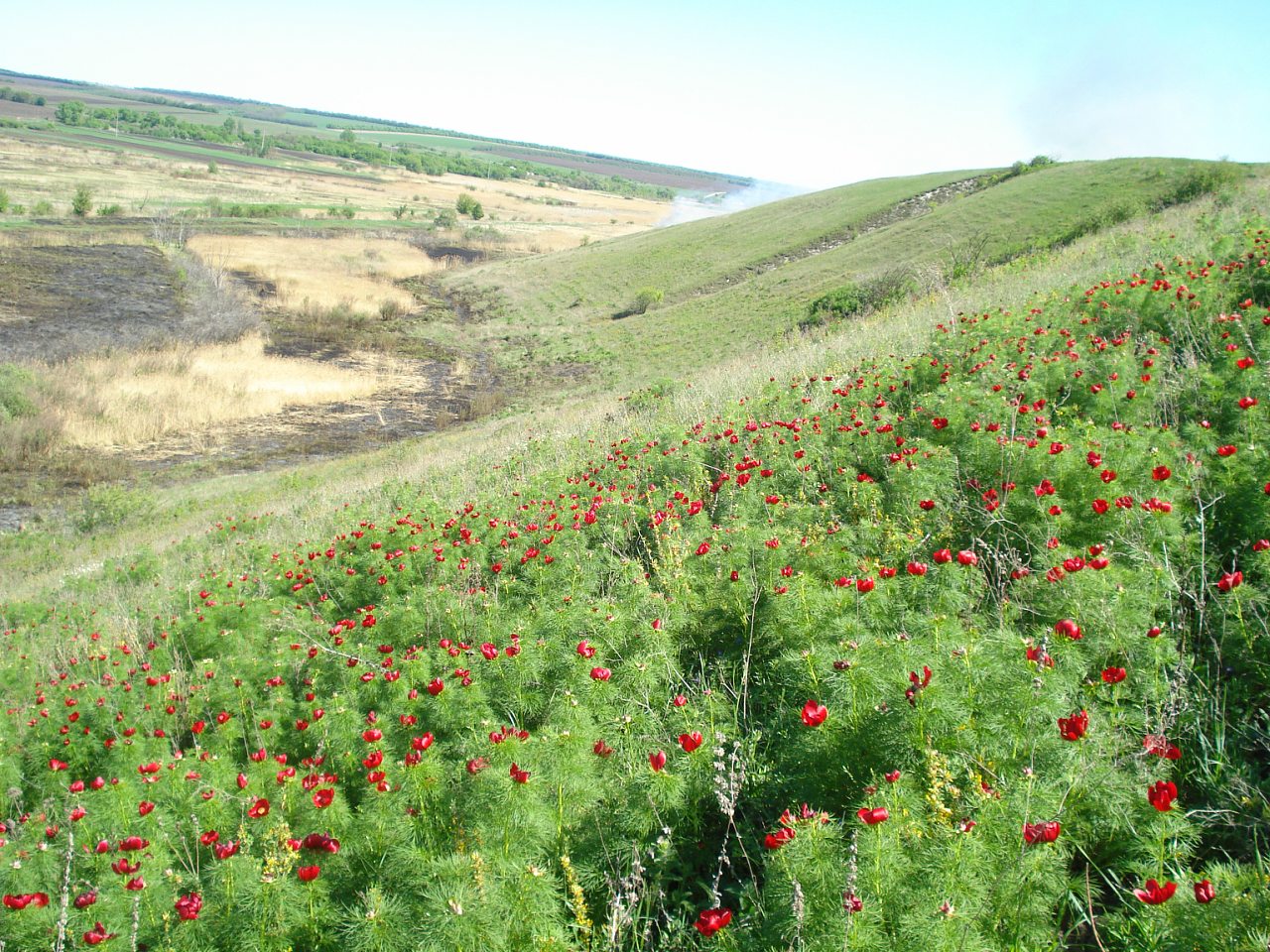 Виды на село - Верхня Дуванка