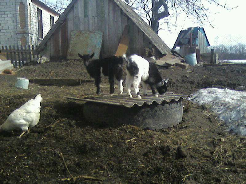 Природа - Райгородок