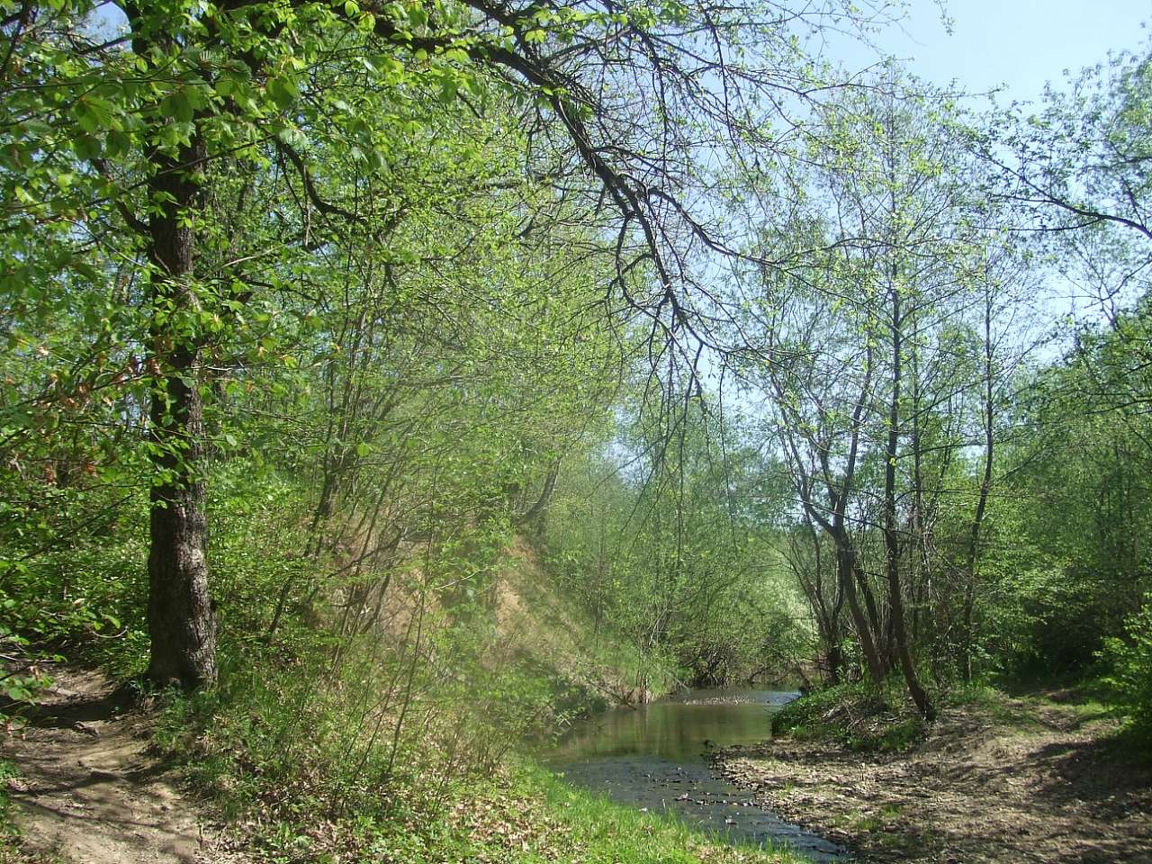 річка Жижава - Горишнее