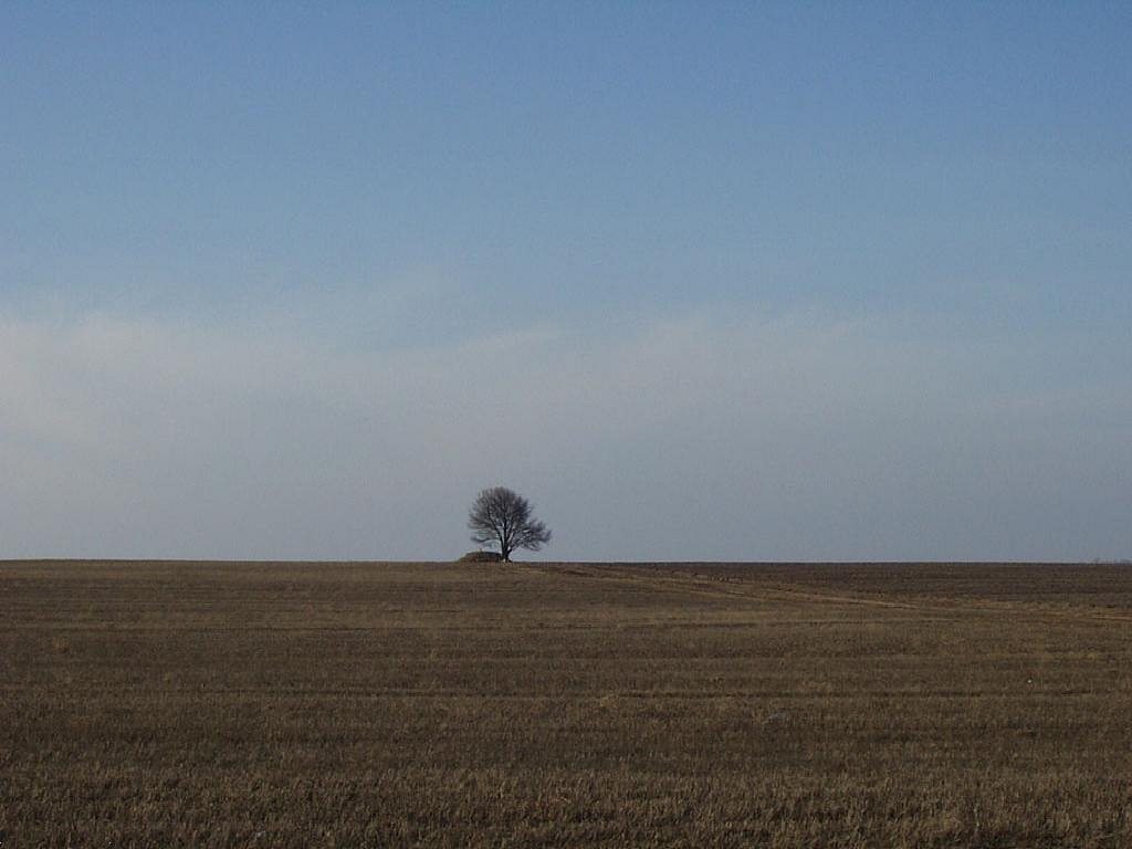 Білогородка-літописний Бєлгород - Білогородка