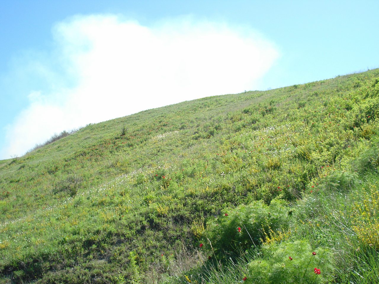 Виды на село - Верхня Дуванка