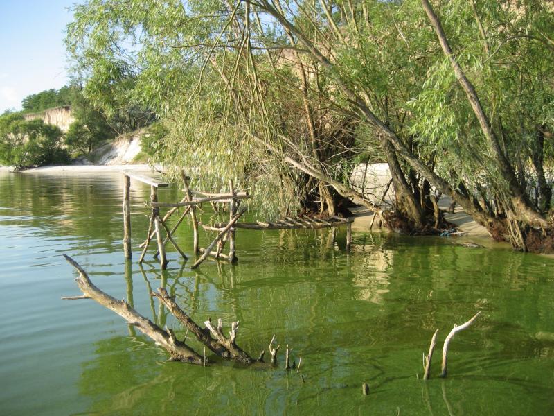 Рацеве,Кременчукське водосховище - Рацево