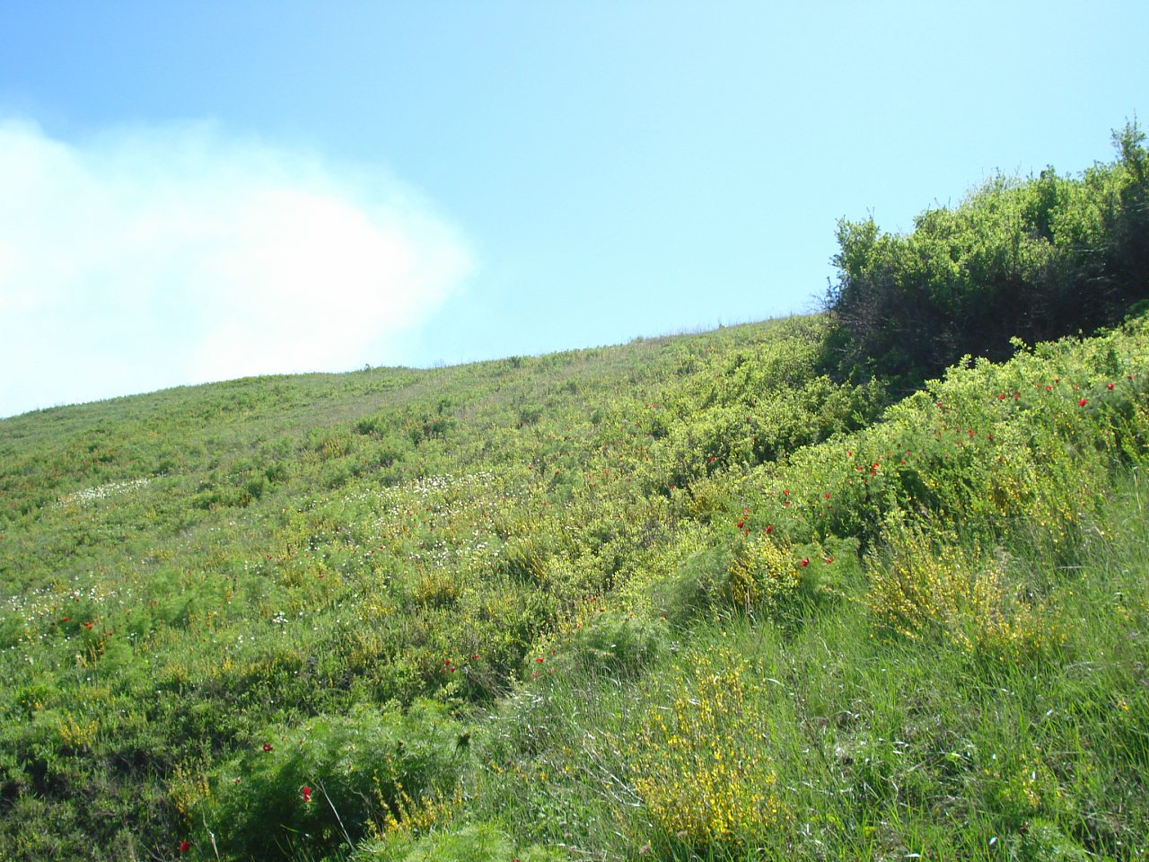 Виды на село - Верхня Дуванка