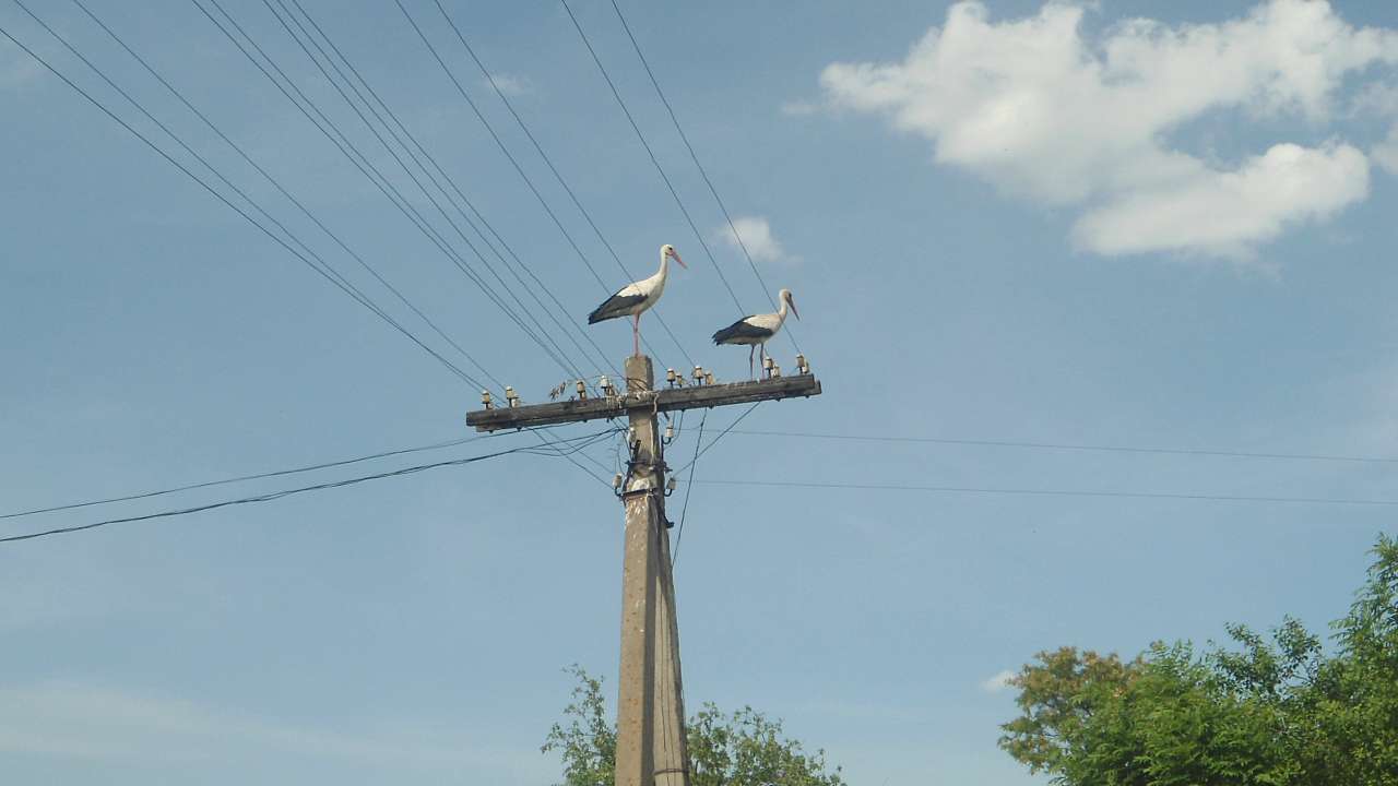 Природа - Райгородок