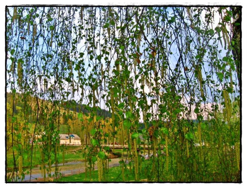 Різне - Селятин