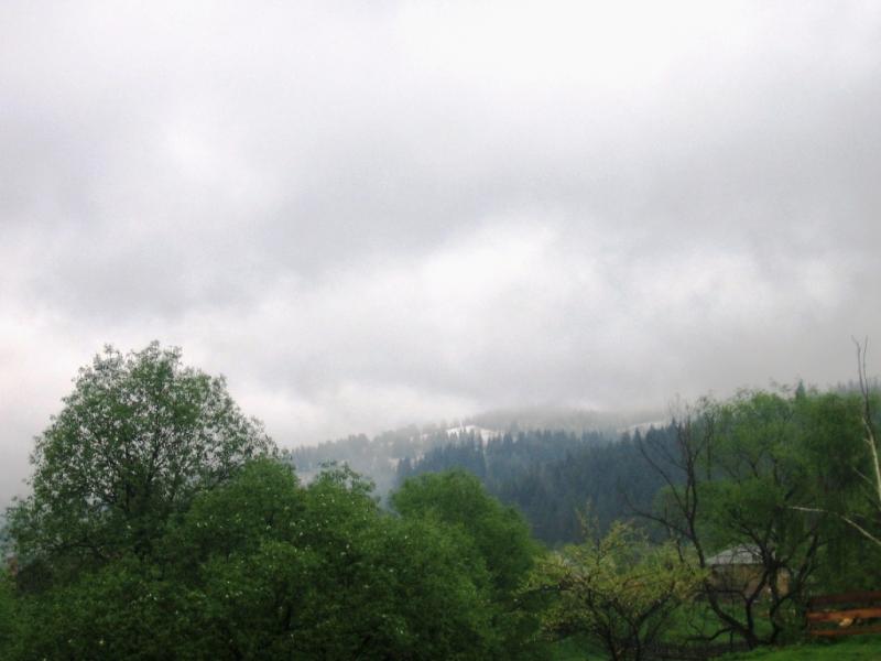 Різне - Селятин