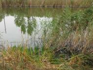 Колпаковка. вересень 2009