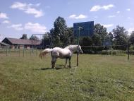 с.Червоный Ранок