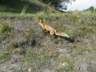 Колпаковка. вересень 2009