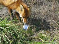 Колпаковка. вересень 2009