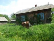 Долинівка в часи Зелених свят