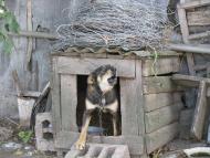 Колпаковка. вересень 2009